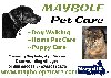 Maybole Pet Care Picture
