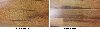 laminate flooring 10mm CHEAP!!! Picture