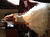 Mori Lee wedding dress £200 Picture