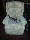 Electric riser and recliner armc... Picture
