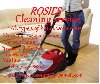 rosies cleaning service, domestic or office, offer Cleaning