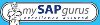 SAP Online Training and corporat... Picture