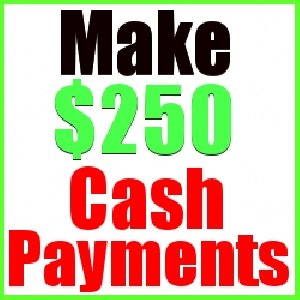 Get Paid $250 Daily! offer Other Jobs