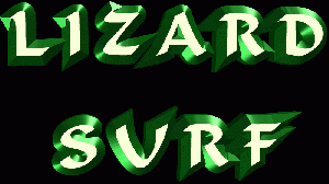 Lizard Surf Traffic Picture
