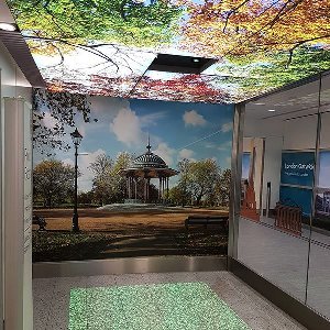 Looking for cheapest Picture