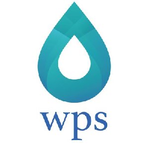 WPS ICO TOKEN - Subs Picture