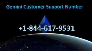 Gemini Customer Supp need Computer & Electrical
