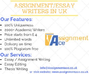 Essay writing UK offer Other Services