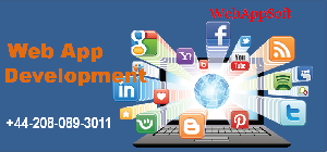 web app development  offer Internet