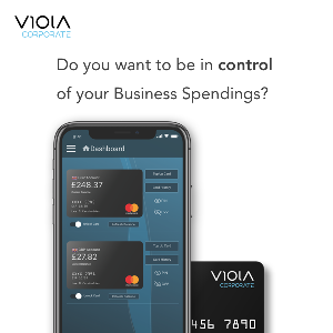 Prepaid Business Debit Cards  Picture