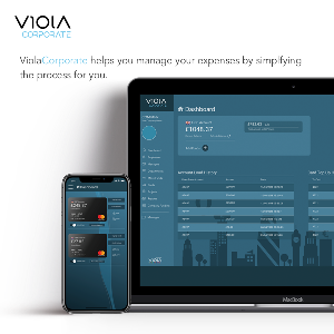 Prepaid Business Debit Cards  Picture