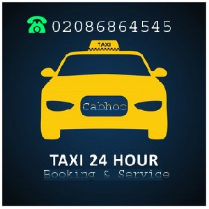 Cheap Cabs to Luton Airport from Wa offer Taxi & Buses 