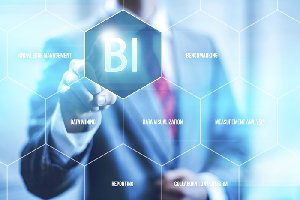 Leading Business intelligence Soft offer Other Services