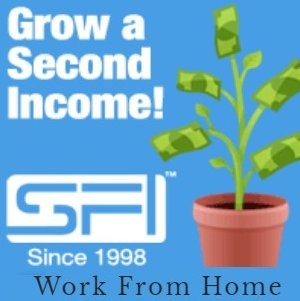 Home Business Network Marketing Picture
