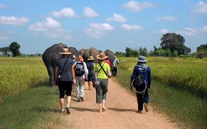 BVI Cabin Charter 8 Days / 7 Nights Picture