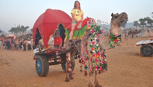 India Travel Packages Booking Now  Picture