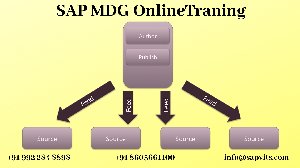 SAP Master Data Training  offer Other Services