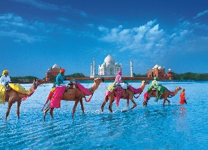 India Tour Packages  Picture