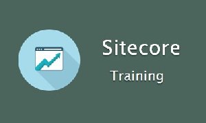 Sitecore Online training Picture