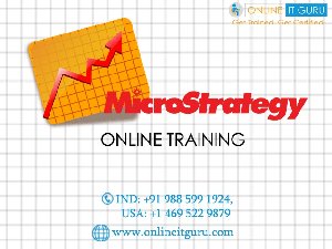 Microstrategy Online Training   offer Other Services