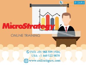 Microstrategy Online Training   Picture