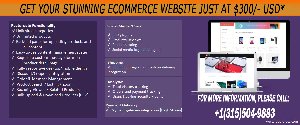 Get Your Stunning eCommerce Website Picture