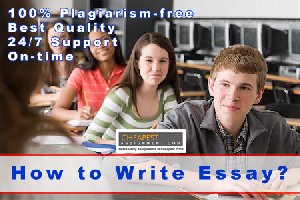 Professional Essay Writing Services Picture