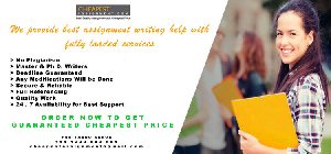 Professional Essay Writing Services Picture