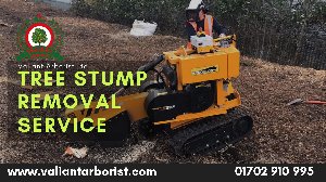 Tree Stump Removal Services in Rochford and Essex offer Landscape & Gardening