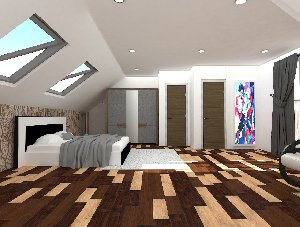 Loft Conversion Picture