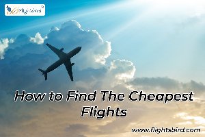 Compare and Book SFO to SDQ Flights offer Cheap Flights