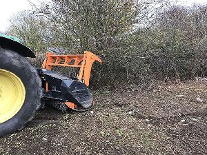 Forestry Hire Cheshire Picture