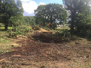 Forestry Hire Cheshire Picture