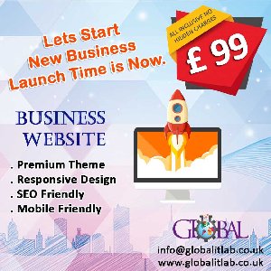 Business Website Design offer Internet