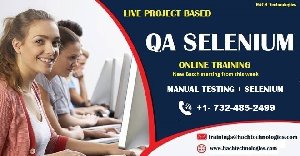 QA online Training Picture