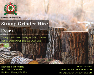 Stump Grinder Hire Essex - Call us  offer Landscape & Gardening