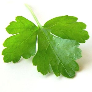 Hire wedding catering services 