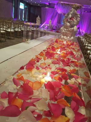 Hire wedding catering services 