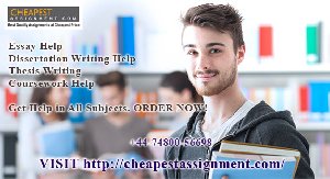 Cheapest and Best Economics Assi... Picture