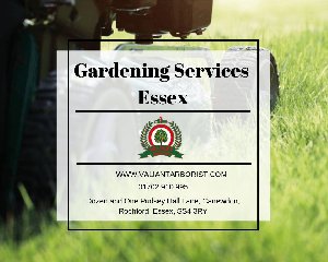 Gardening Services Essex | Garden Maintenance Services offer Landscape & Gardening