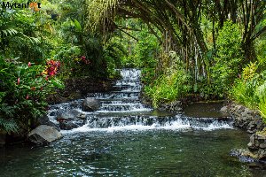 Arenal Volcano + Tabacon Grand S... Picture