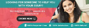 Custom Essay Writing Service Picture