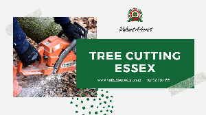 Best Tree Cutting Service In Essex | Valiant Arborist offer Landscape & Gardening