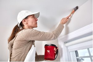 Promain UK Limited Picture