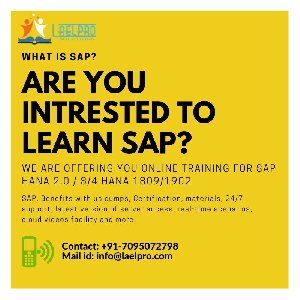 SAP S4HANA LOGISTICS ONLINE TRAI... Picture