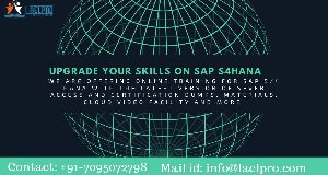 upgrade your skills on sap s4han... Picture
