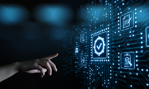 Best Software Development for Start-up Business offer Internet