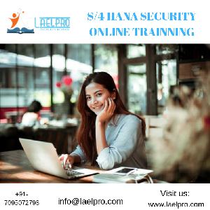 S/4 HANA SECURITY ONLINE TRAINNING Picture