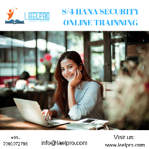 S/4 HANA SECURITY ONLINE TRAINNING offer Education