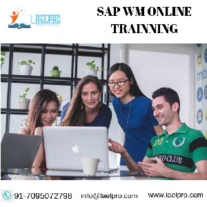 SAP WM ONLINE TRAINNING offer Education